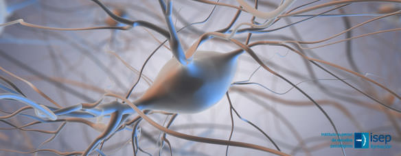 El papel del neuropsicólogo en la esclerosis múltiple