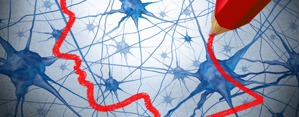 ¿Qué aporta la neurociencia al mundo del aprendizaje?
