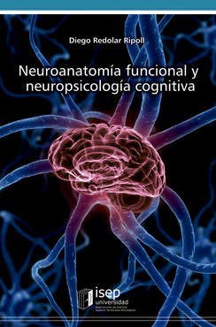 Neuroanatomia emocional