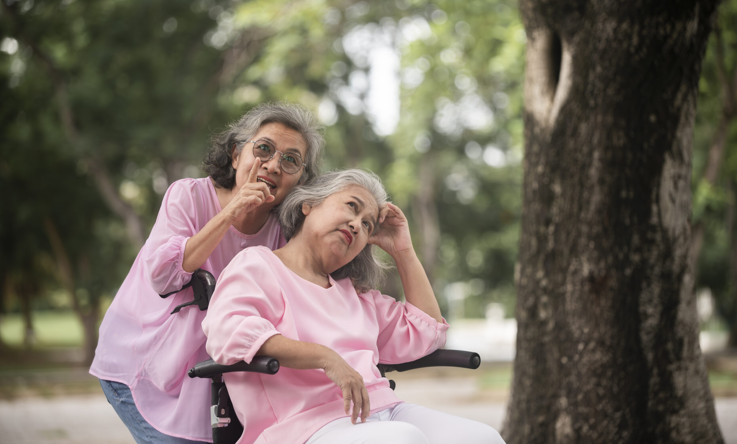 two senior women enjoying time in the park 2026 01 09 00 13 41 utc scaled