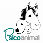 El vínculo humano-animal como fuente de seguridad y regulación emocional 1 beb14d3a 747e 47f4 813e 75cea390d40e
